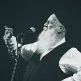 שולי רנד