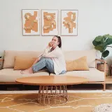 עדי סגל