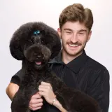 Dogs By Logan