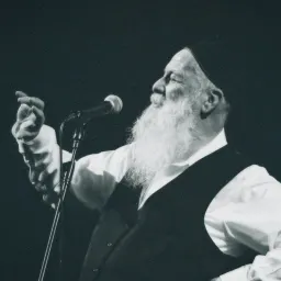 שולי רנד